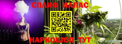 ПСИЛОЦИБИНОВЫЕ ГРИБЫ Гусев