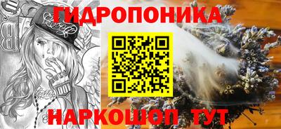 PSILOCYBIN Гусь-Хрустальный