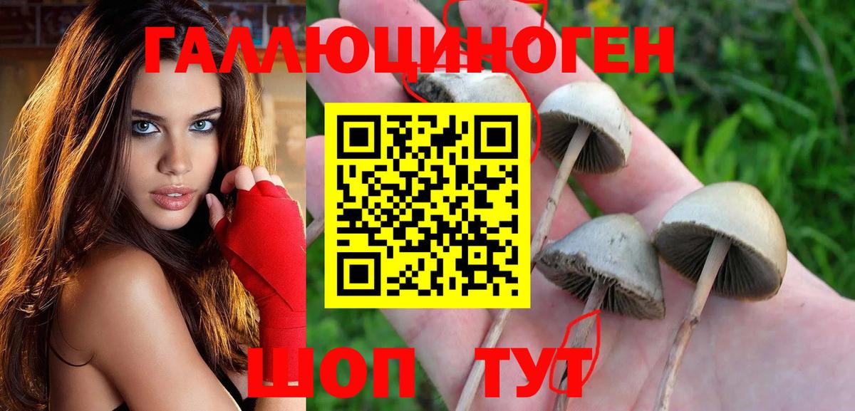 Галлюциногенные грибы ЛСД  Вход с VPN  Ишим  хочу наркоту  Псилоцибиновые грибы прущие грибы 