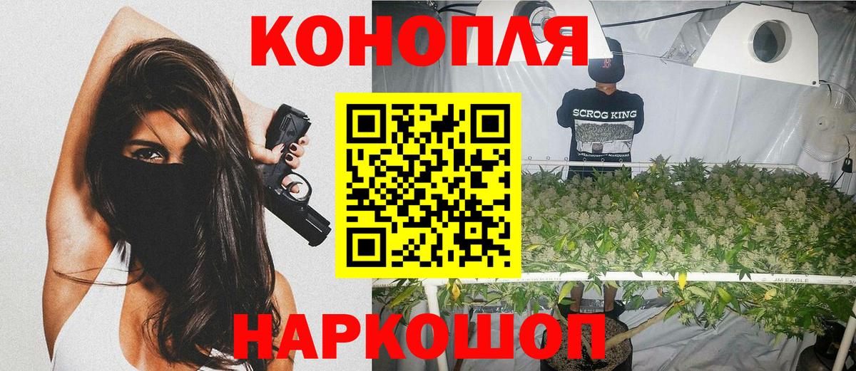 Бошки марихуана семена Ишим